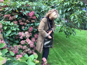 1510afa2 c20e 4799 94f9 0b8b9cdb0601