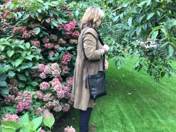 71a7c867 6174 46ec 8f3c 23be077413b1