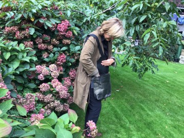 F6f4b39e f1db 45aa 87b5 36d18b045c37